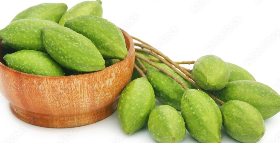Green haritaki highlighting the natural health benefits of haritaki