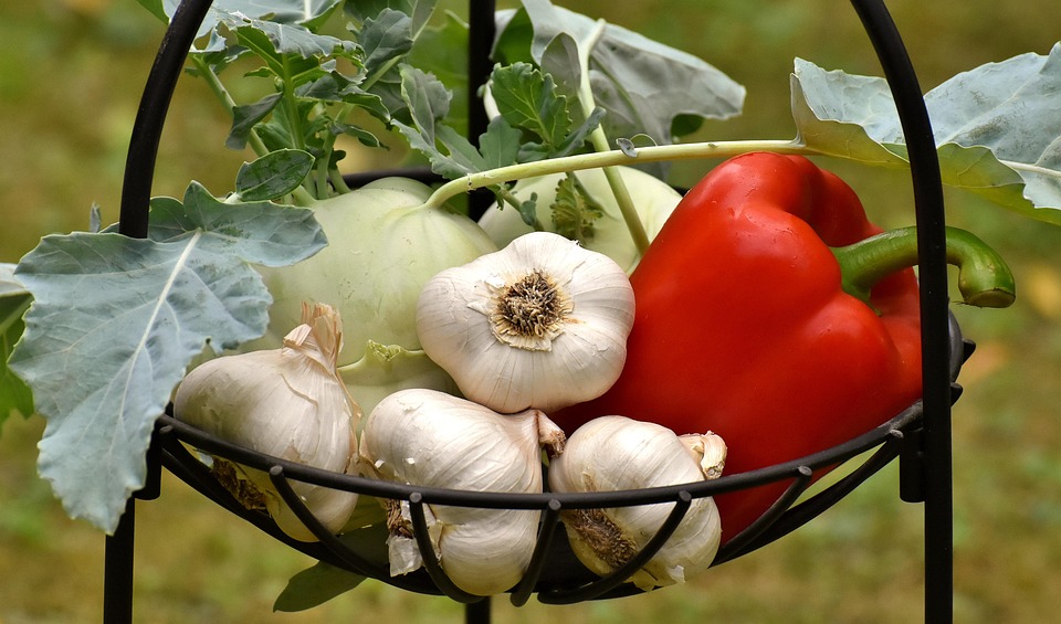Best foods for fatty liver disease such as garlic, turnip and capsicum