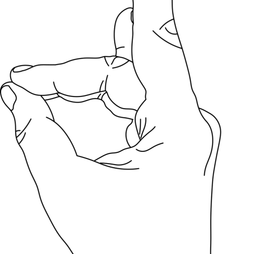 apan-mudra apan-mudra