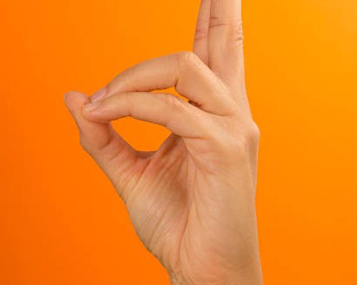PRANA- mudra of Life PRANA- mudra of Life