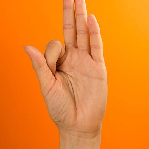 VAYU – mudra of the air VAYU - mudra of the air